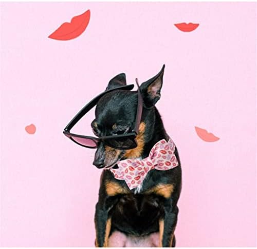 HFDGDFK Sevgililer Kırmızı Dudaklar köpek tasması papyon ile Pet köpek tasması Büyük Orta Küçük Köpek için (Boyut: