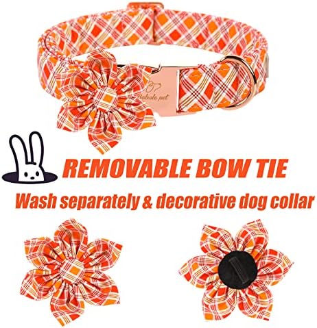 Babole Pet Güz Kız Köpek Yaka Çiçek Kravat, turuncu Çizgili Ekose Çiçek Köpek Yaka Emniyet Metal Toka ile Küçük Orta