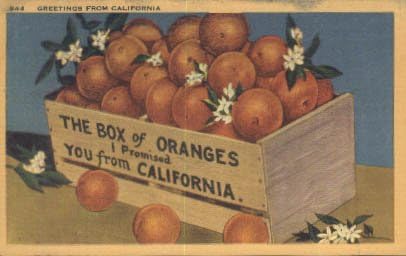 Kaliforniya Kartpostalından selamlar