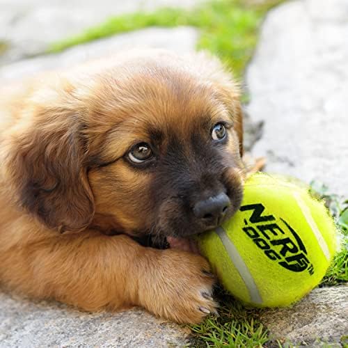 Nerf Köpek Fetch Oyunu Mega Set Köpek Oyuncak, 20 İnç Tenis Topu Blaster ve 12 Squeak Tenis Topları İçerir, turuncu