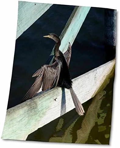 3dRose Florene Kuşları-Anhingua Dinlenme-Havlular (twl-14466-1)