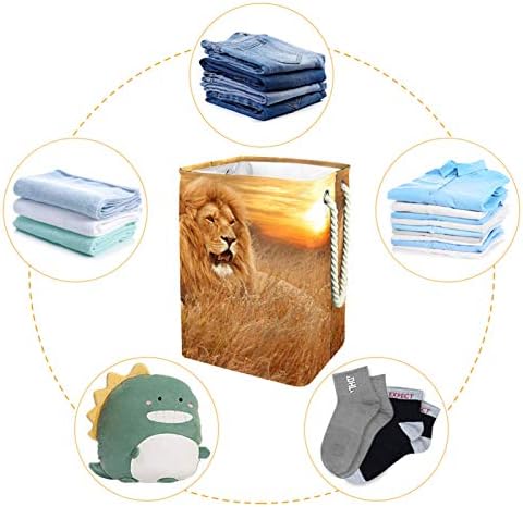 19.3 Bağlantısız çamaşır sepeti Kirli Giysiler Sepet Katlanabilir Ev Kreş Üniversite Daire Ofis Aslan Gün Batımı