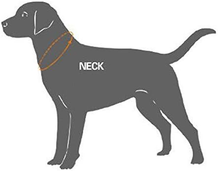 ZEEY Dayanıklı Yastıklı Yumuşak Nefes Örgü Gece Güvenlik köpek tasması ile 3 M Gece Yansıtıcı Çizgili, Rahat Ayarlanabilir